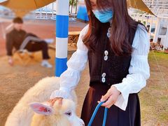 -Blue Concept Cafe&Farm·關於藍