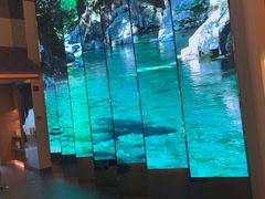 -桂满陇·海市蜃楼·黑金(国金店)