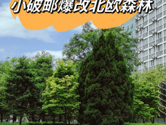 -北京邮电大学