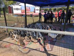 -武汉紫薇都市田园