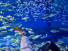-海合安武汉极地海洋公园