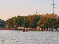 -上海海湾国家森林公园