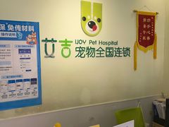 -艾吉宠物医院·疑难杂症转诊中心·猫友好(碧江路院)