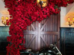 -碧特博格啤酒花园餐厅(芜湖路店)