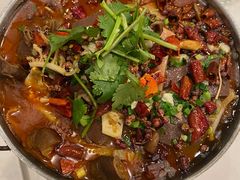 -巢香扣肉馆