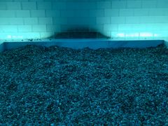 -青水瓦台汤泉(未央店)