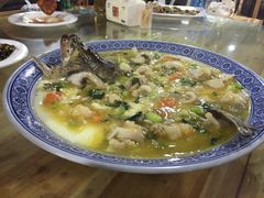 -张鸟园农家乐(张鸟园店)