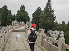 -原山国家森林公园