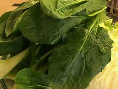 -老诚一锅羊蝎子(垡头店)