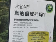 -中国大熊猫保护研究中心雅安碧峰峡基地