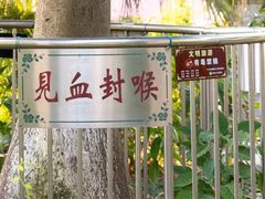 -广州神农草堂中医药博物馆