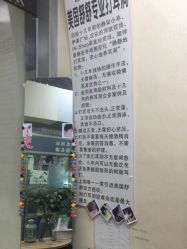 -Wisezone唯点穿耳打耳洞专业国际连锁品牌
