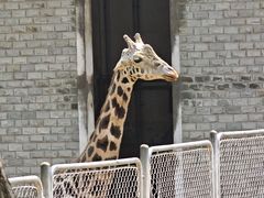 -石家庄市动物园