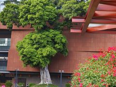 -南越王博物院(王宫展区)