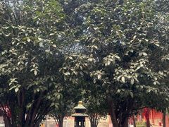 -汝州市汝瓷博物馆