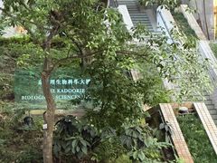 -香港大学