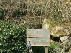 -杭州西湖风景名胜区-三生石