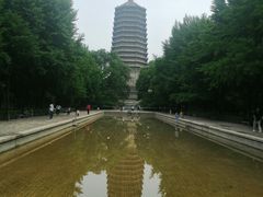 -玲珑塔公园