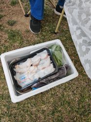 -268童话露营农场·烧烤·团建