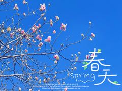 -春风习习