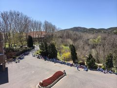 -棒棰岛宾馆景区