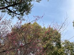 -南京市江宁方山