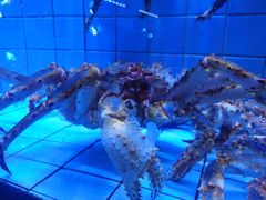 -荣记火锅(青悦城店)