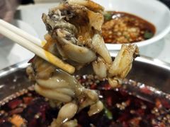 -麻辣巅峰美蛙鱼头火锅(犀浦店)