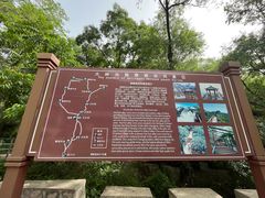 -大岭沟猕猴桃谷风景区