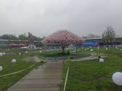 -北京鹿世界主题园