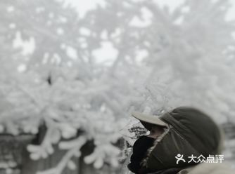 12月峨眉山下大雪 乐山成都银杏黄