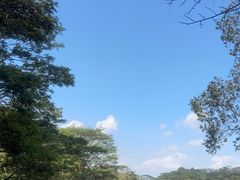 -阳台山森林公园