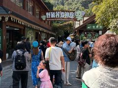 -野象谷景区