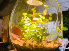 -懒人盐府人家(航天桥店)