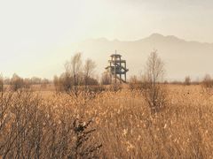 -野鸭湖国家湿地公园