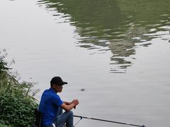 -怡海公园(桂城街道)