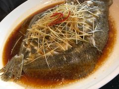 清蒸多宝鱼-胶东海鲜大排档(北太平庄店)