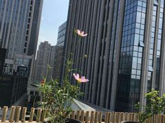 -瓦库茶馆17号(海汇港店)