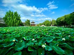 -莲池书院博物馆