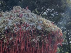 -狼山风景名胜区