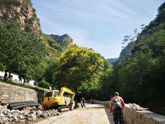 -北京上方山国家森林公园