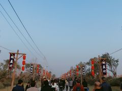 -倒盏民俗文化村