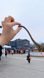 -恐龙探索乐园(磁器口店)