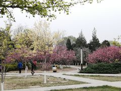 -太阳宫公园