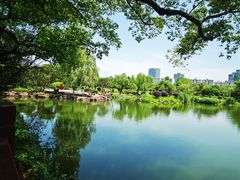 -月湖公园