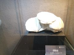 -中华赏石园