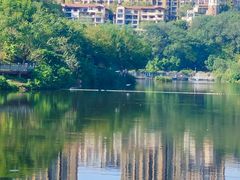 -重庆彩云湖湿地公园