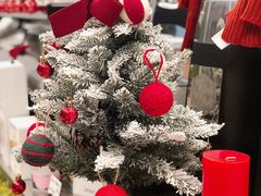 -Seesaw Coffee(南京国金中心店)