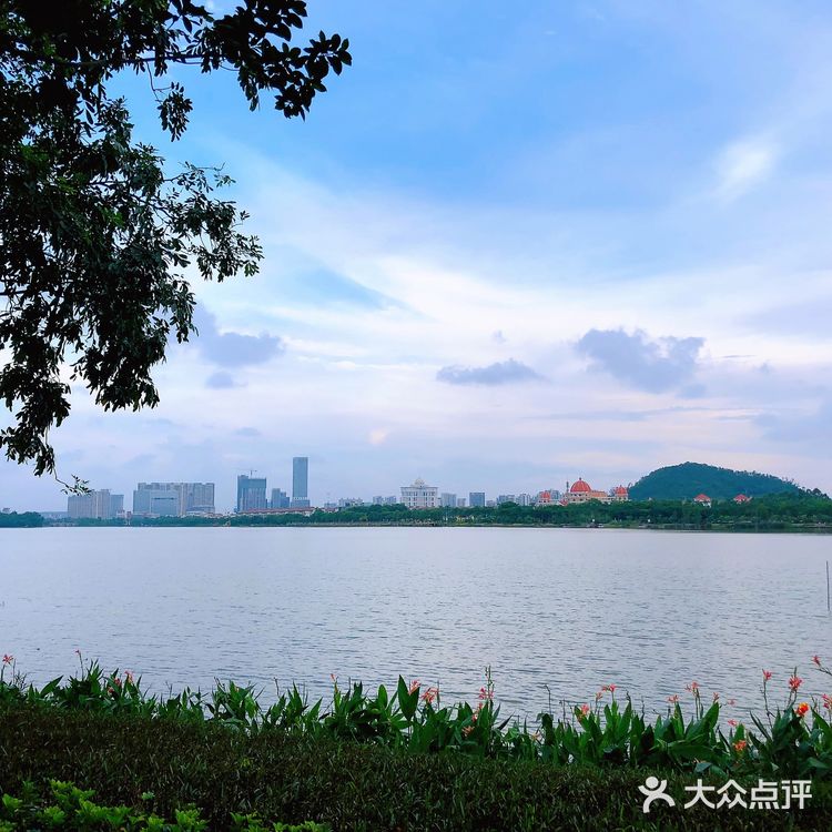 【顺德日记：顺峰山公园旅游攻略】