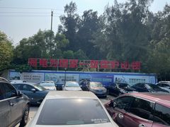 -广东惠东海龟国家级自然保护区